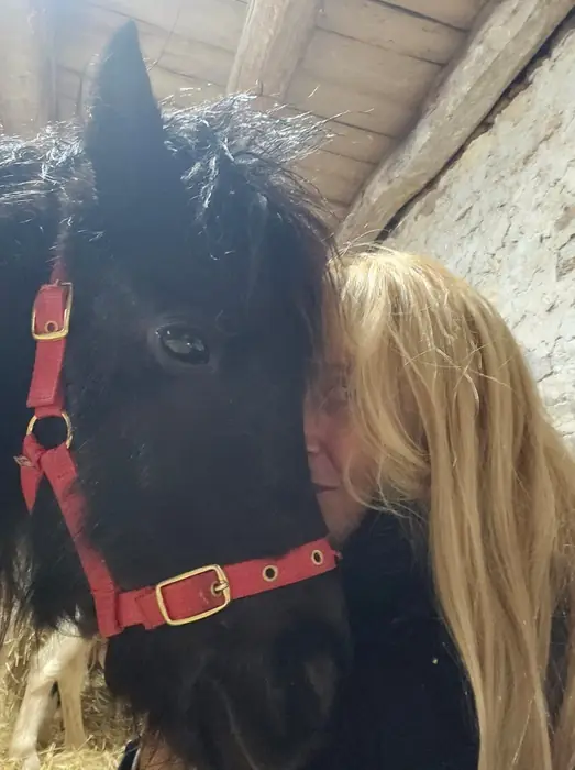 Close-up of a blonde woman resting her face against a black Falabella wearing a red halter inside a rustic stable.